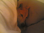 20070311.jpg